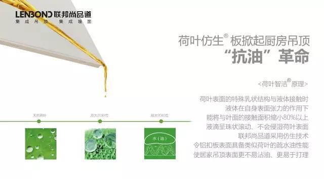 聯邦尚品道集成吊頂 集成吊頂廠家