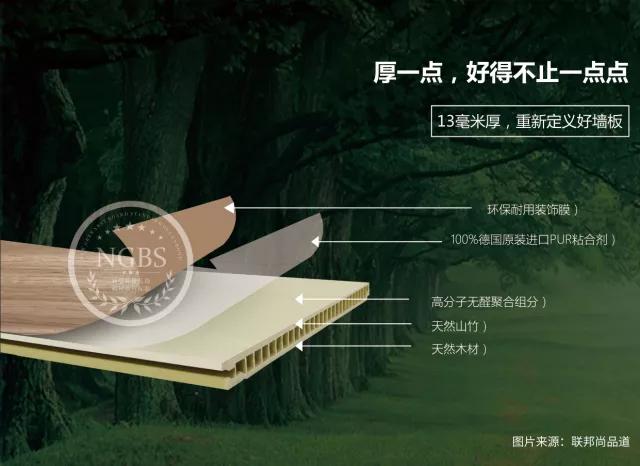 聯邦尚品道 集成墻面 裝修材料 效果圖