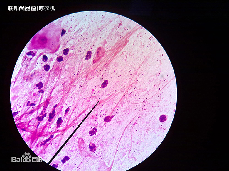 聯(lián)邦尚品道晾衣機(jī)，給您健康高效的晾曬體驗(yàn)