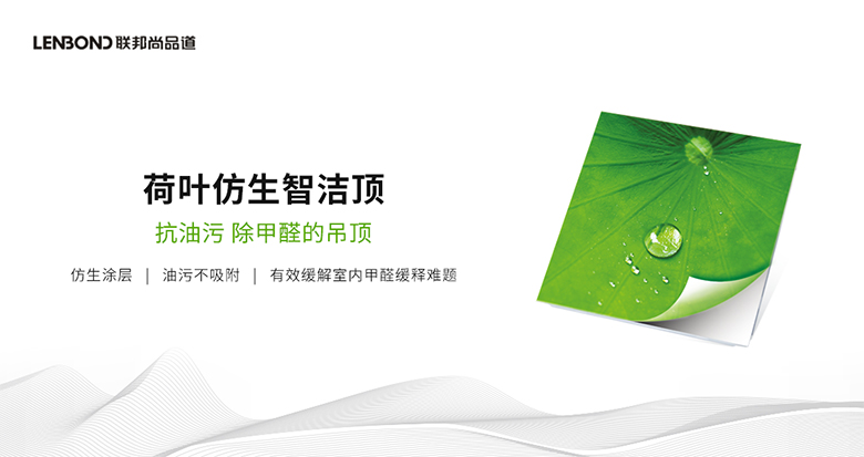 聯邦尚品道荷葉智潔頂