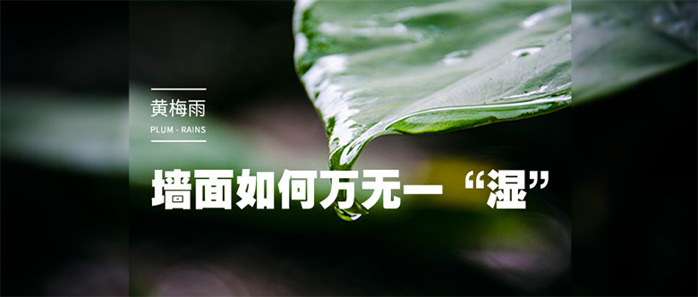 集成墻面 集成墻面