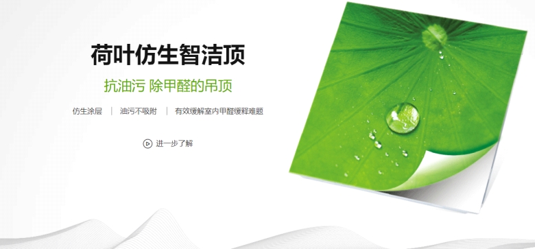 荷葉仿生技術.jpg