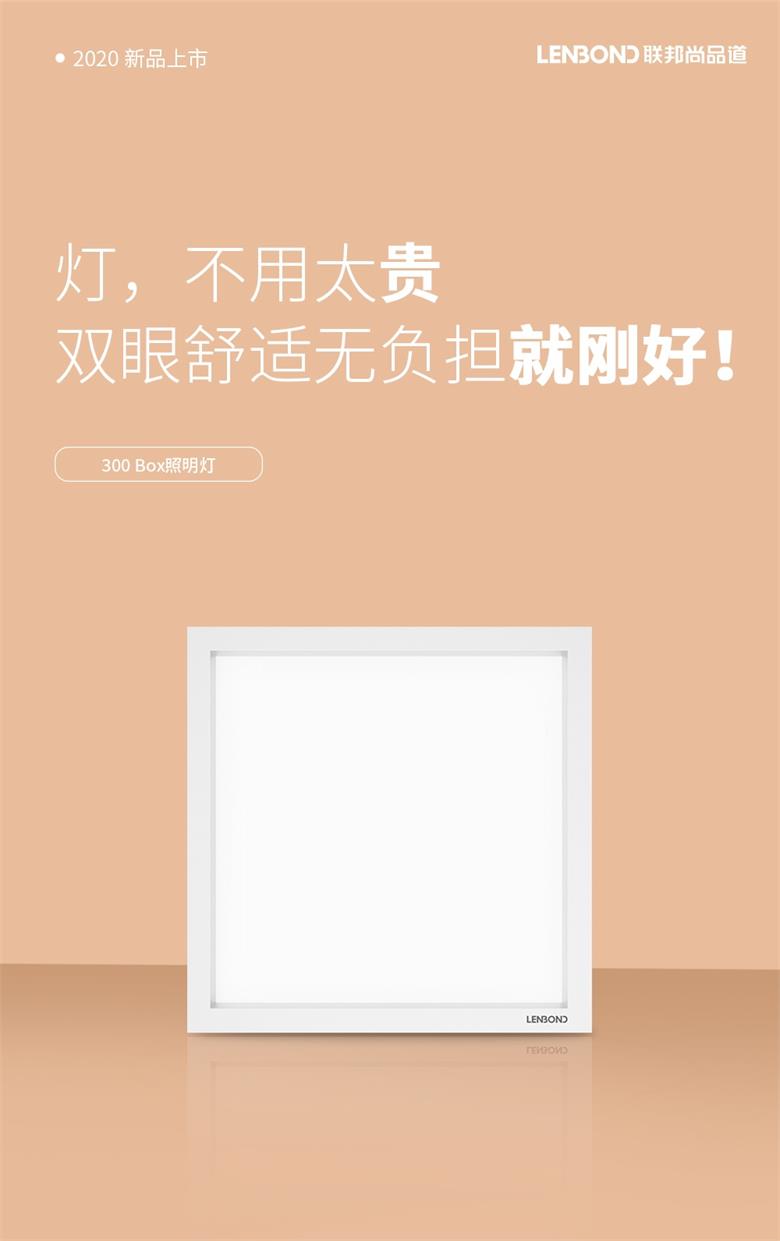 300Box照明燈.jpg