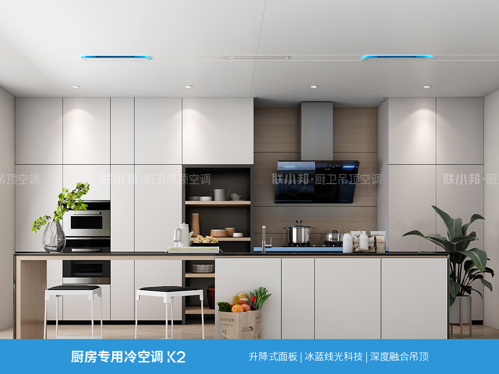 廚房專用空調(diào) 廚房專用空調(diào)