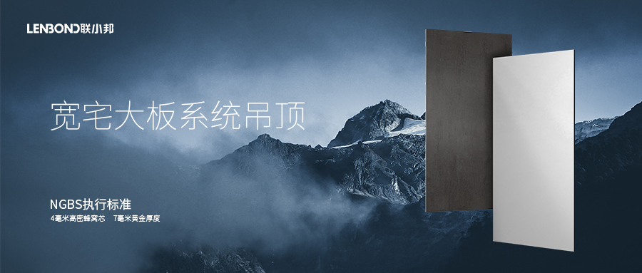 聯小邦系統吊頂 聯小邦系統吊頂