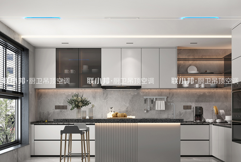 廚房專用空調(diào)效果圖